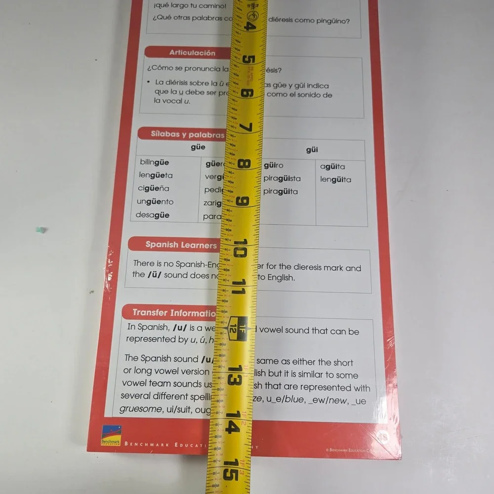 Benchmark Education Company Spanish Language Learning Flashcards  Vowel Sounds